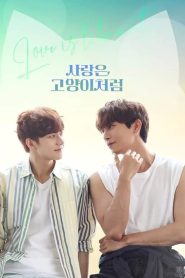 Love Is like a Cat (2024) Episode 6